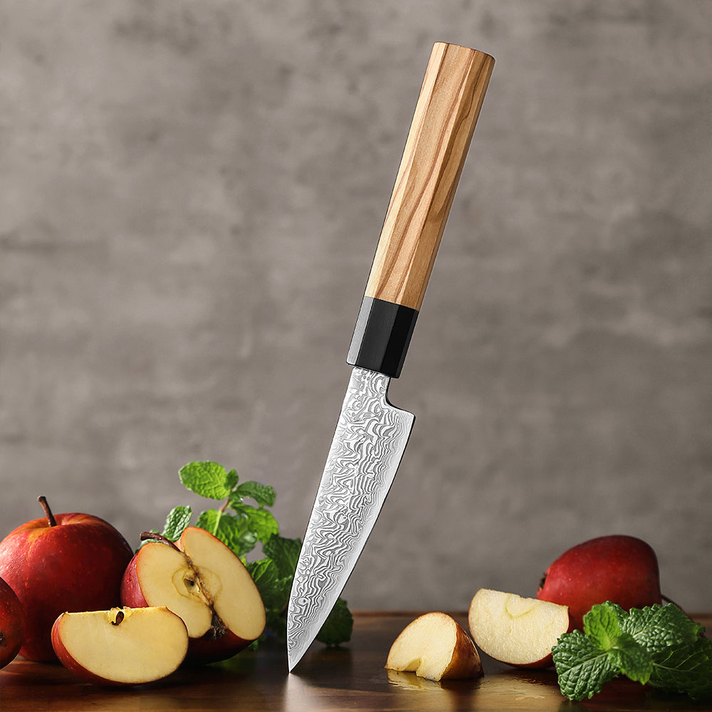 67 Katman Paring Paslanmaz Damascus Mutfak Bıçağı 11,5 cm
