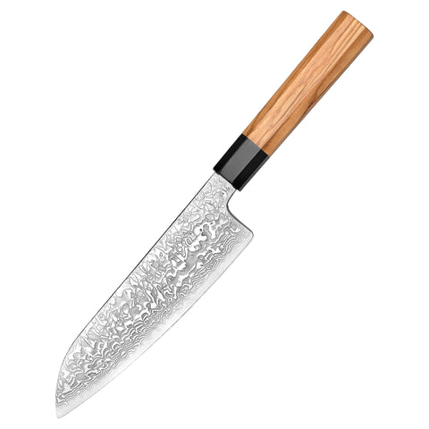 67 Katman Santoku Paslanmaz Damascus Şef Bıçağı 20 cm