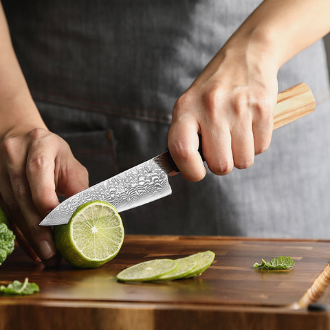 67 Katman Paring Paslanmaz Damascus Mutfak Bıçağı 11,5 cm